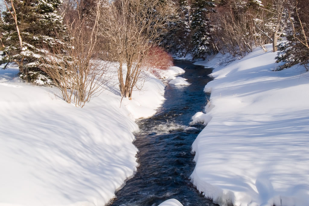 Blandford Nature Center Creek in Winter