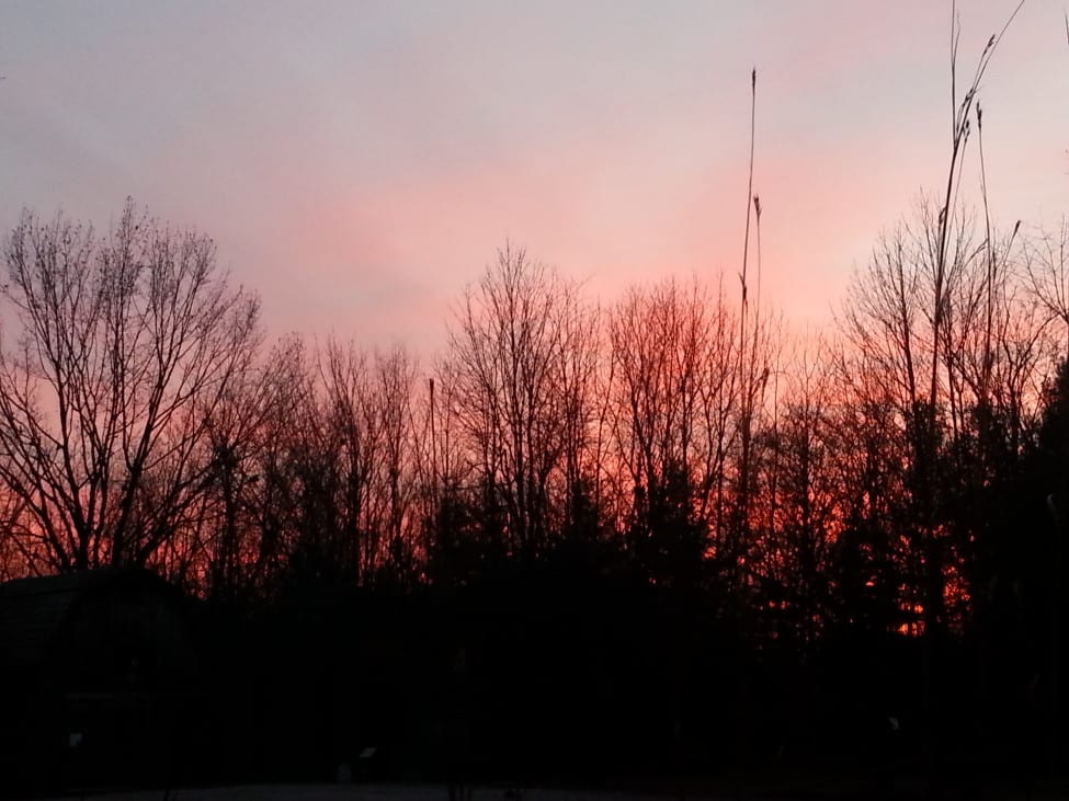 Winter Sunset (2)