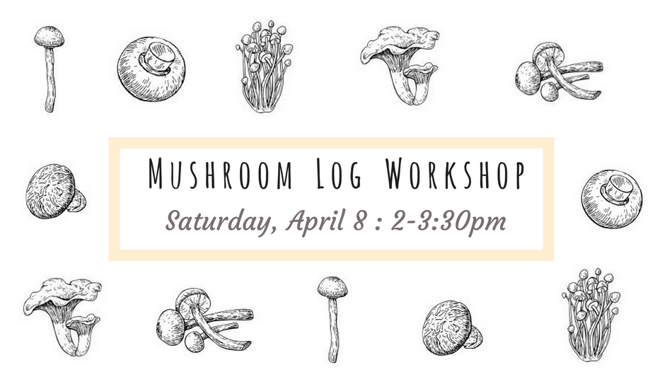 mushroom log workshop