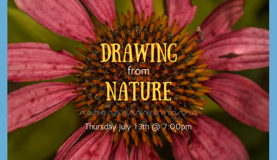 drawing from nature