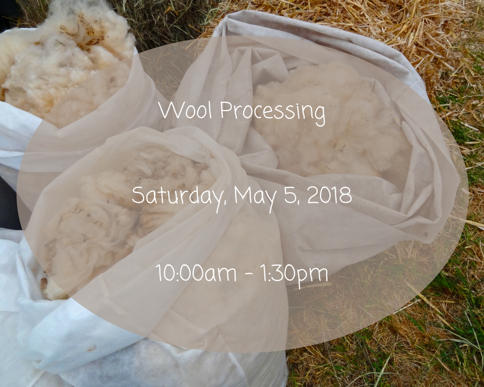 Wool Processing