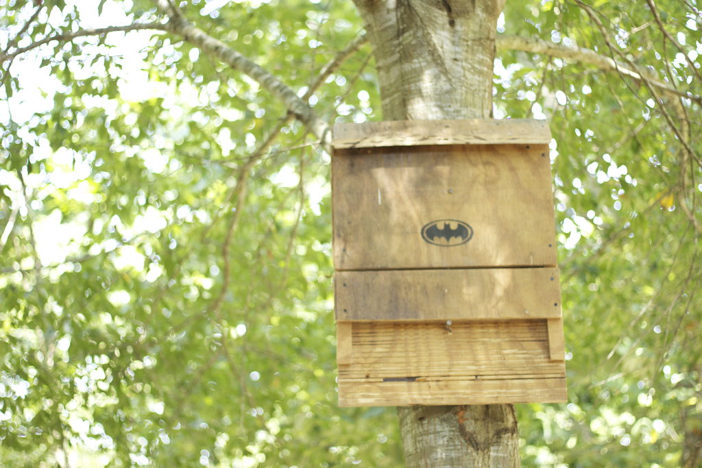 batman bat house