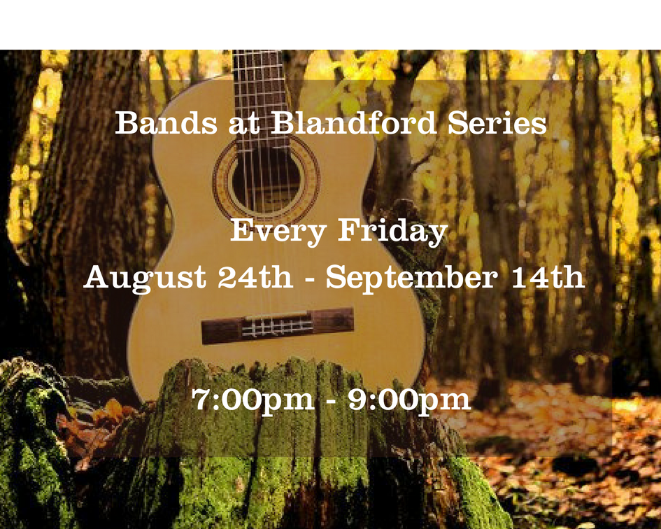 Bands at Blandford guitar in the woods