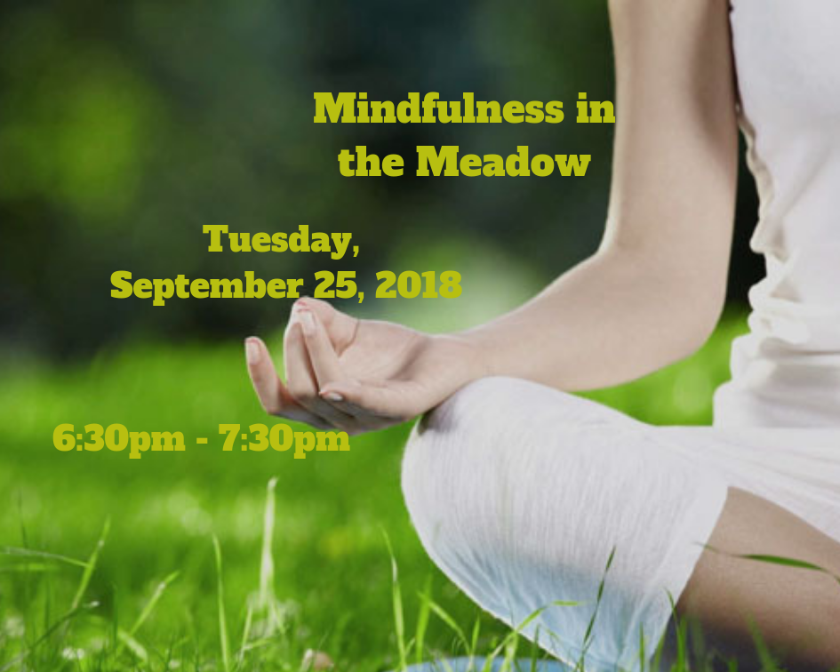 Mindfulness in the Meadow
