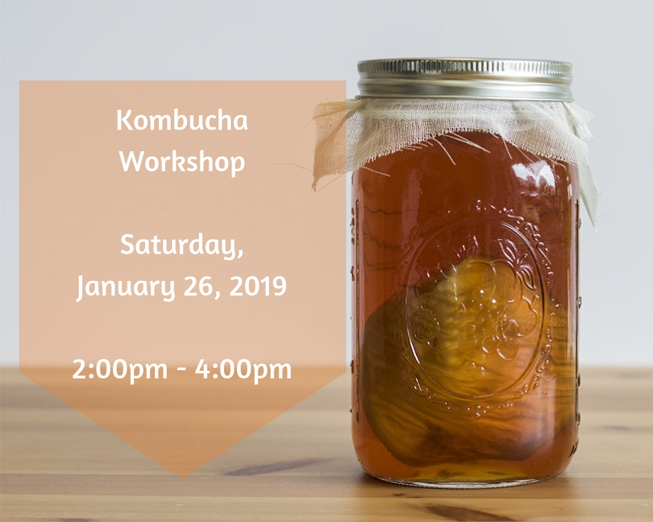 Kombucha Workshop