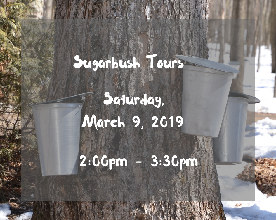 Sugarbush Tours