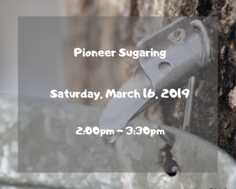 Pioneer Sugaring