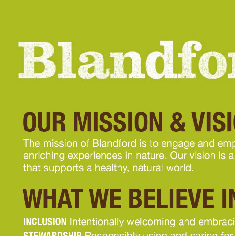 Blandford at a glance