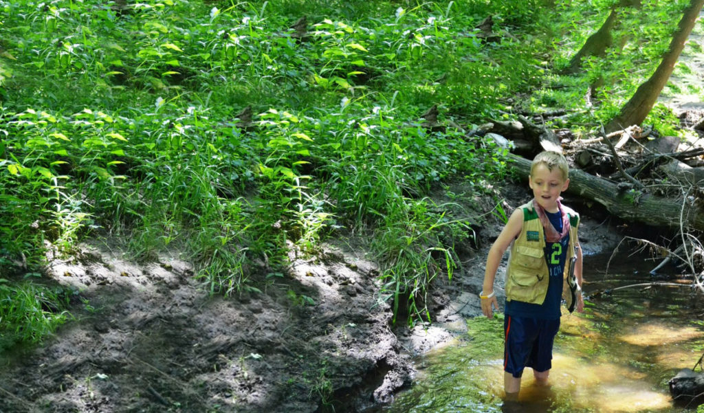 Boy in Creek