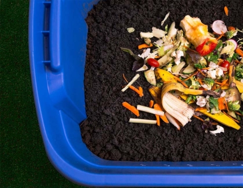 Composting 101: Adults: CANCELLED