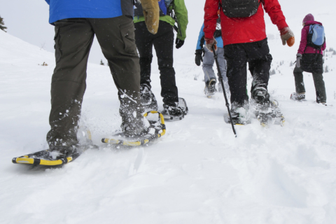 Sold Out| Snowshoe Hike