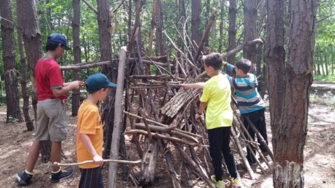Fantastic Forts in the Forest