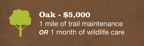 Oak - $5,000 1 mile of trail maintenance or 1 month of wildlife care