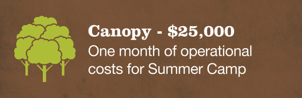 Canopy - $25,000 One month of operational costs for Summer Camp 