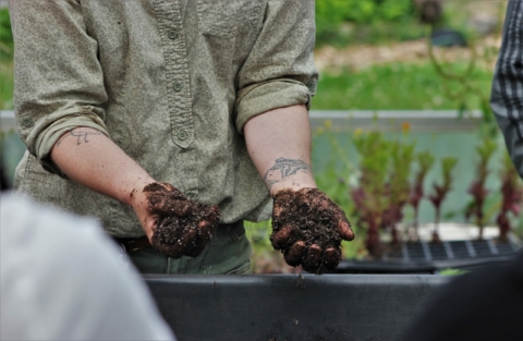 Composting 101 for Adults