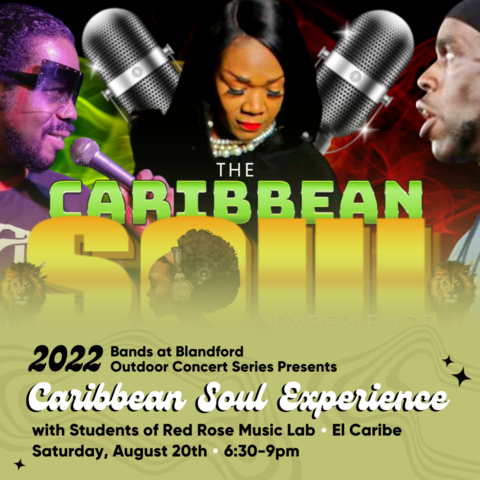 Bands at Blandford: Caribbean Soul Experience