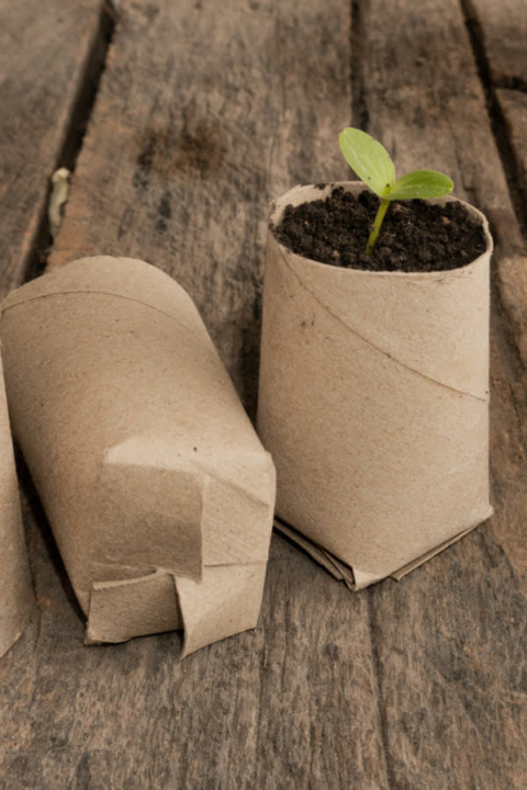 Nature Craft Drop-in: Paper Seed Starting Pots