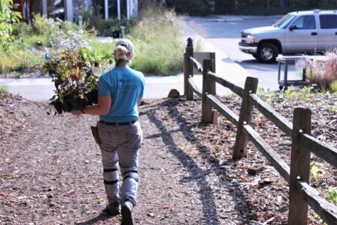 Native Plant Landscaping 101 with Native Edge