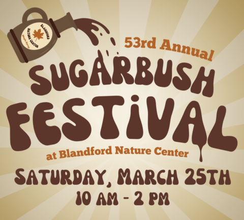 Sugarbush Festival Volunteer (F)