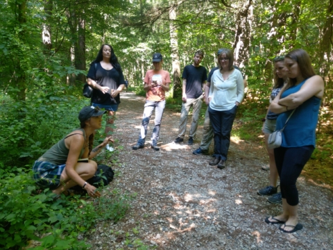 SOLD OUT | Foraging & Wild Tending Class with IYE Wellness