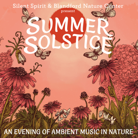 Summer Solstice | An Evening of Ambient Music in Nature
