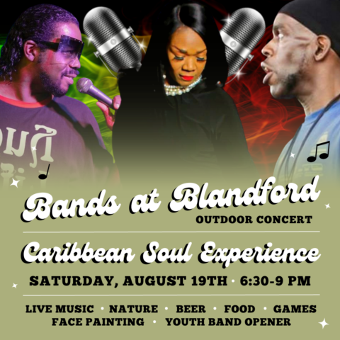 Bands at Blandford | Caribbean Soul Experience