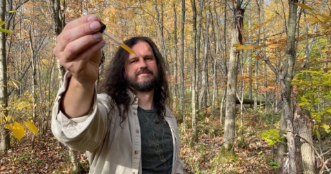 wild roots and fall foliage herb walk with jim mcdonald