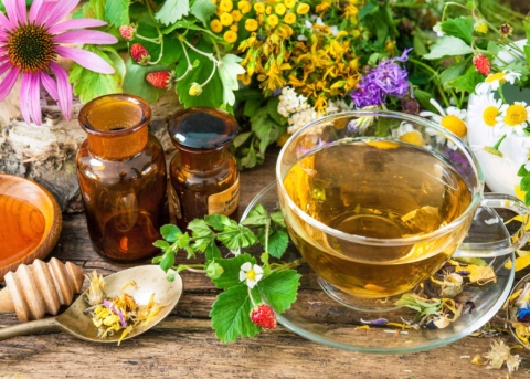 Herbal Tea Gardening