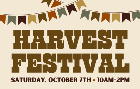 Harvest Festival Volunteer (F)