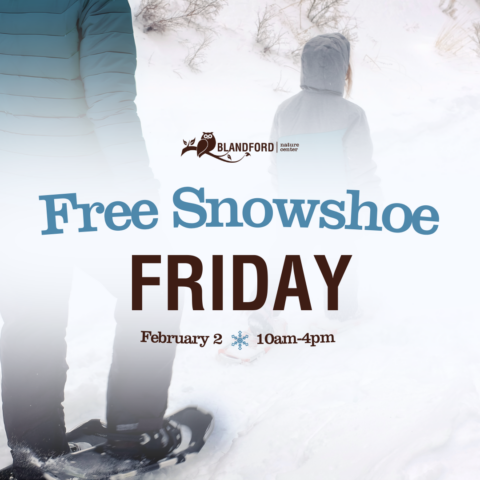 CANCELLED | Free Snowshoe Friday (F)