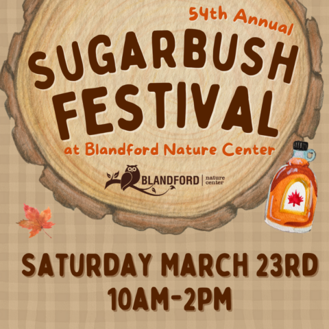 Sugarbush Festival 2024