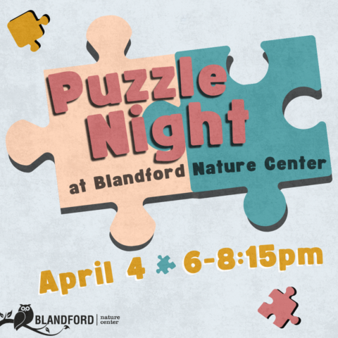 Nature Jigsaw Puzzle Night