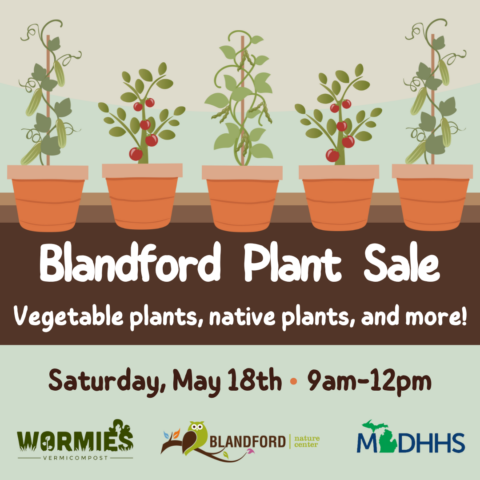 Blandford Plant Sale (F)